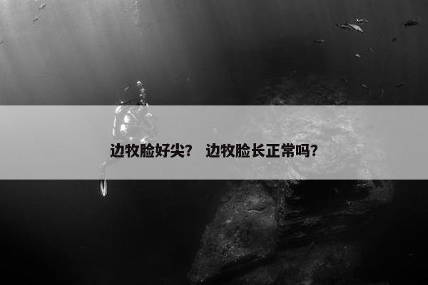 边牧脸好尖？ 边牧脸长正常吗？