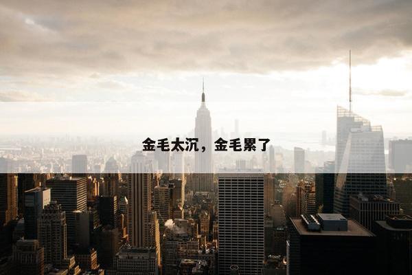 金毛太沉,金毛累了