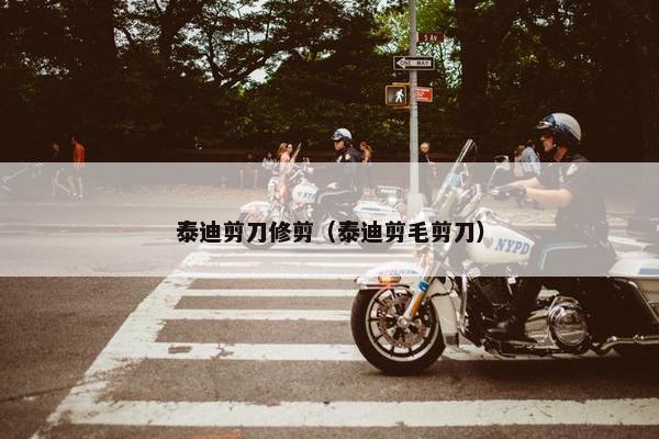 泰迪剪刀修剪（泰迪剪毛剪刀）