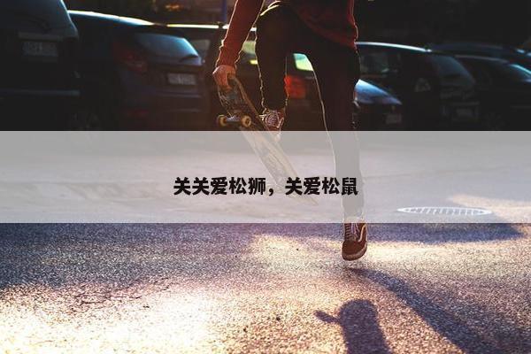 关关爱松狮，关爱松鼠