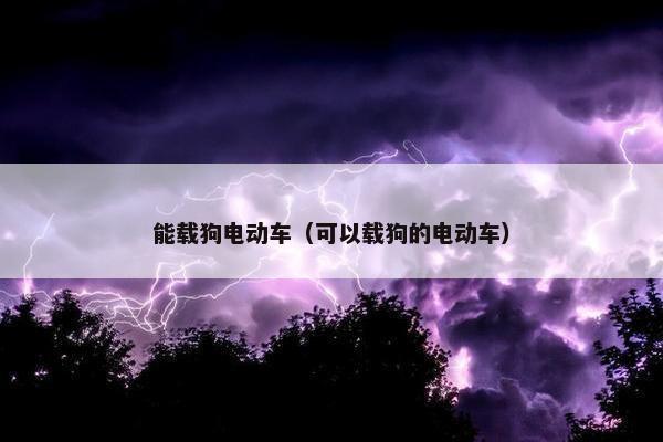 能载狗电动车(可以载狗的电动车)