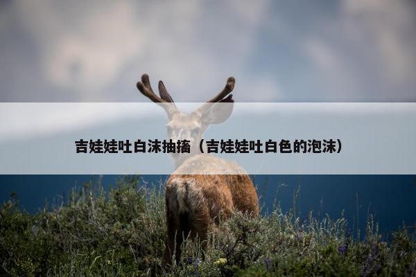 吉娃娃吐白沫抽搐（吉娃娃吐白色的泡沫）