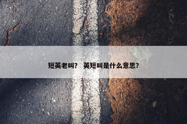 短英老叫？ 英短叫是什么意思？