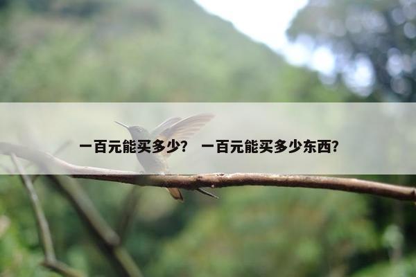 一百元能买多少? 一百元能买多少东西?