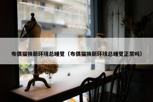 布偶猫换新环境总睡觉(布偶猫换新环境总睡觉正常吗)