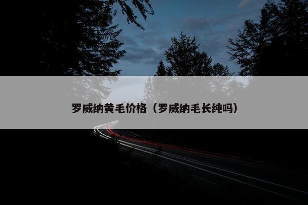 罗威纳黄毛价格（罗威纳毛长纯吗）