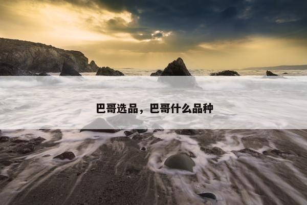 巴哥选品，巴哥什么品种