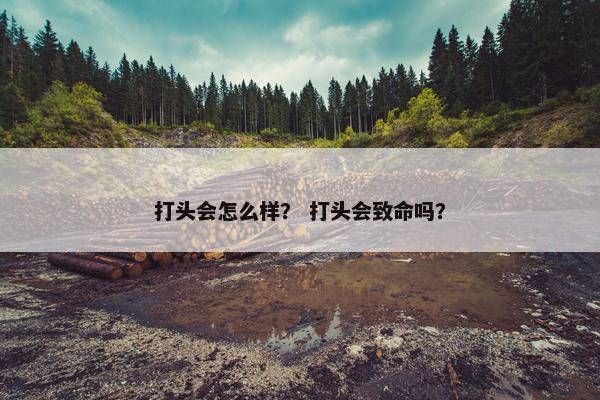 打头会怎么样? 打头会致命吗?