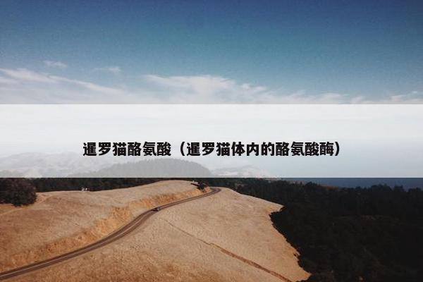 暹罗猫酪氨酸（暹罗猫体内的酪氨酸酶）