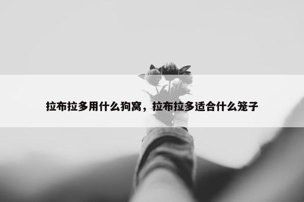拉布拉多用什么狗窝，拉布拉多适合什么笼子