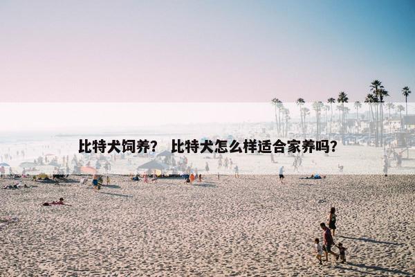 比特犬饲养？ 比特犬怎么样适合家养吗？