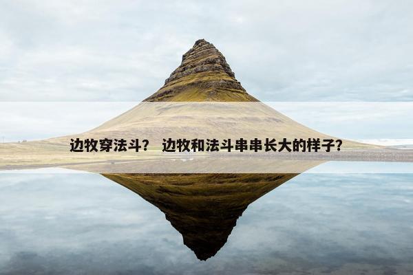 边牧穿法斗？ 边牧和法斗串串长大的样子？