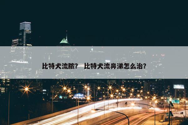 比特犬流脓？ 比特犬流鼻涕怎么治？