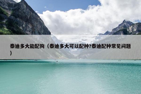泰迪多大能配狗（泰迪多大可以配种?泰迪配种常见问题）