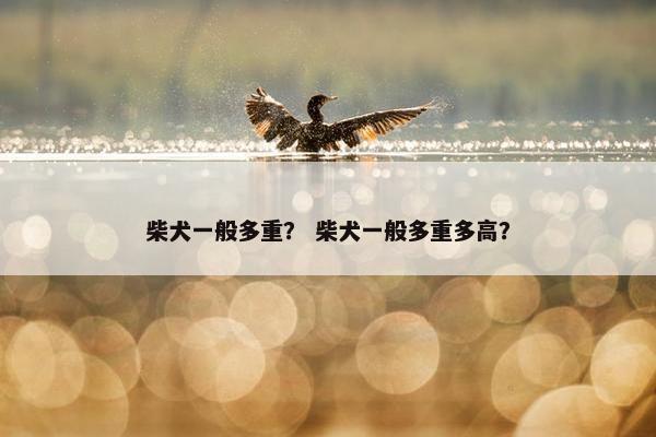 柴犬一般多重？ 柴犬一般多重多高？