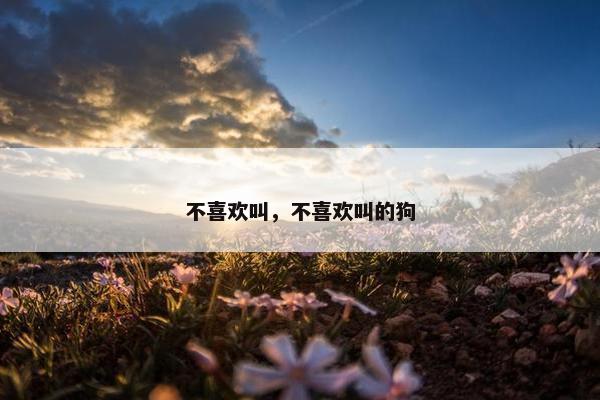 不喜欢叫，不喜欢叫的狗