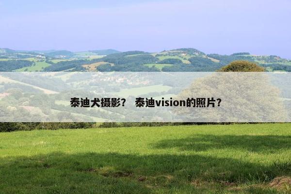 泰迪犬摄影？ 泰迪vision的照片？
