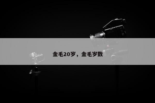 金毛20岁，金毛岁数