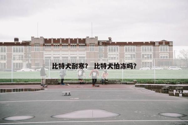 比特犬耐寒? 比特犬怕冻吗?