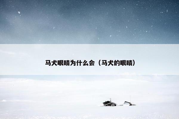 马犬眼睛为什么会（马犬的眼睛）