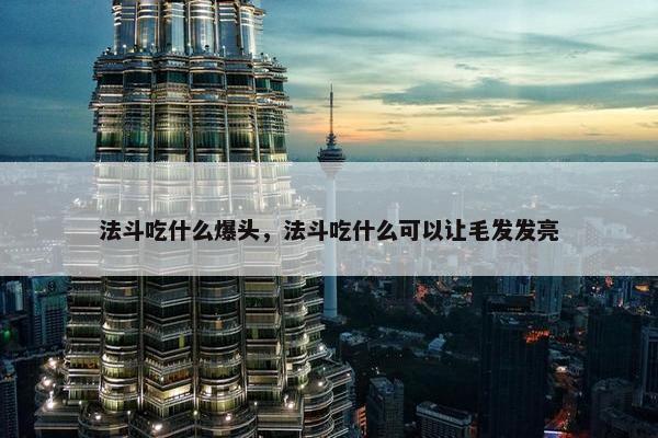 法斗吃什么爆头，法斗吃什么可以让毛发发亮