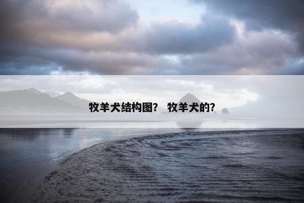 牧羊犬结构图? 牧羊犬的?