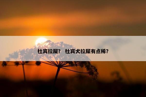 杜宾拉屎？ 杜宾犬拉屎有点稀？