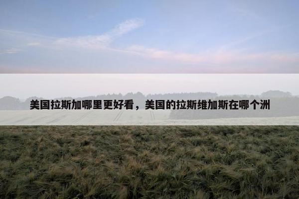 美国拉斯加哪里更好看,美国的拉斯维加斯在哪个洲