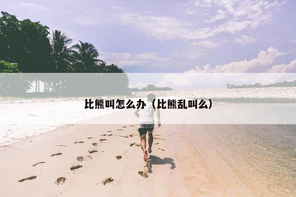 比熊叫怎么办（比熊乱叫么）