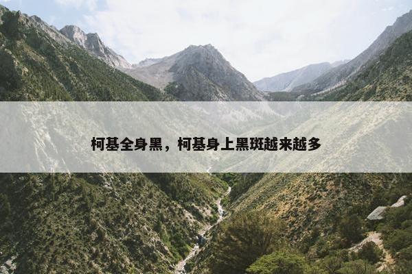 柯基全身黑，柯基身上黑斑越来越多
