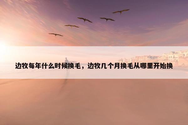 边牧每年什么时候换毛，边牧几个月换毛从哪里开始换