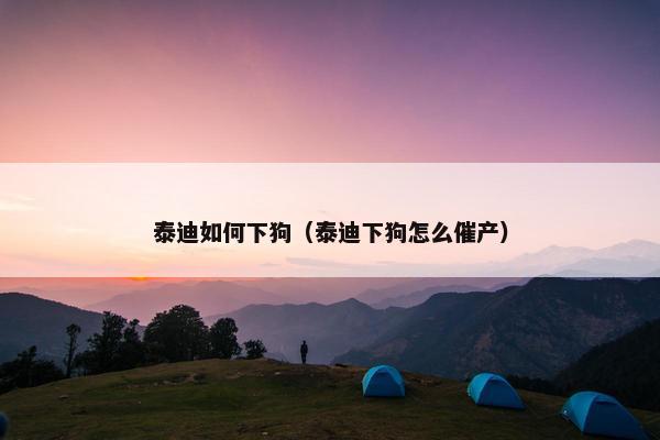 泰迪如何下狗（泰迪下狗怎么催产）