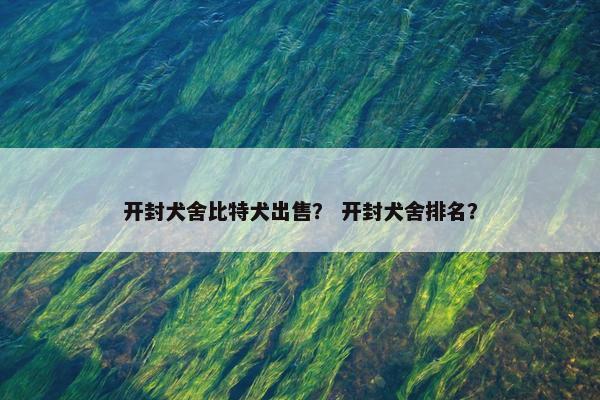 开封犬舍比特犬出售? 开封犬舍排名?