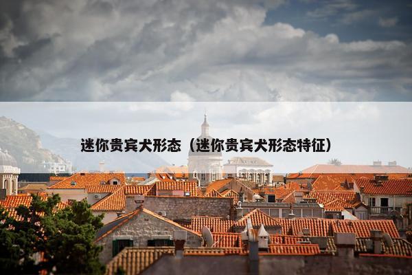 迷你贵宾犬形态(迷你贵宾犬形态特征)