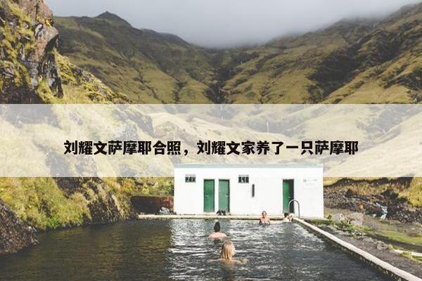 土豆