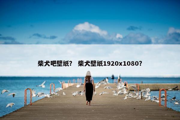 柴犬吧壁纸？ 柴犬壁纸1920x1080？
