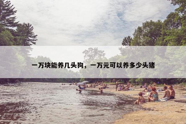 一万块能养几头狗,一万元可以养多少头猪