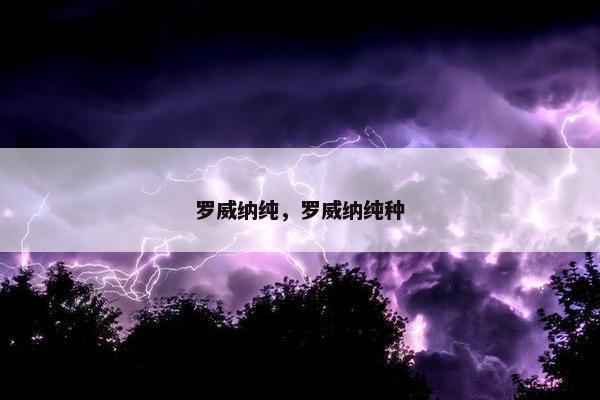 罗威纳纯，罗威纳纯种