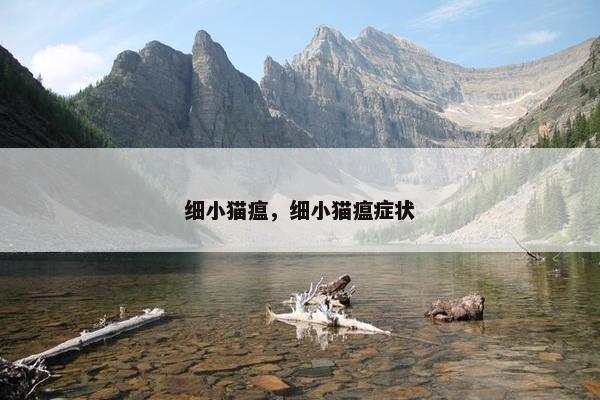 细小猫瘟，细小猫瘟症状