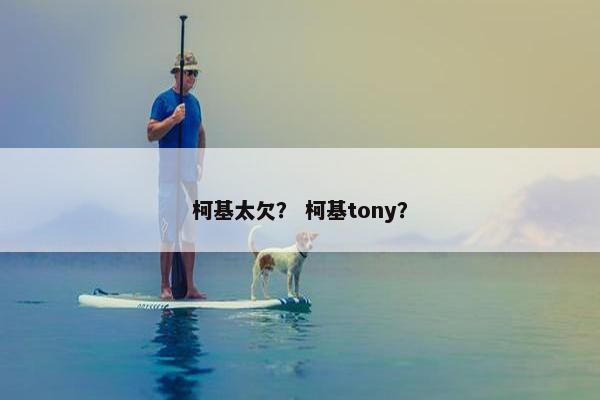 柯基太欠？ 柯基tony？