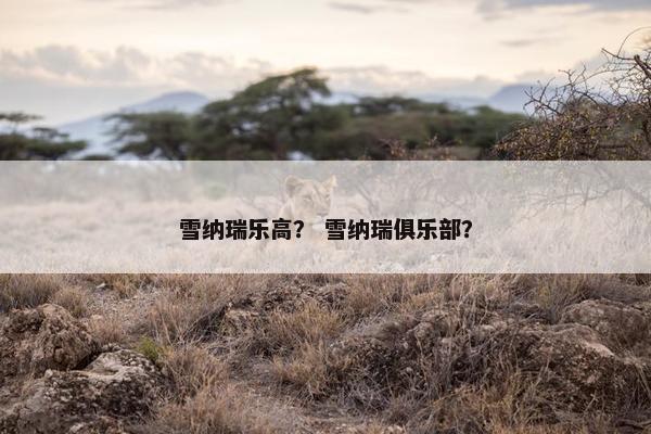 雪纳瑞乐高？ 雪纳瑞俱乐部？