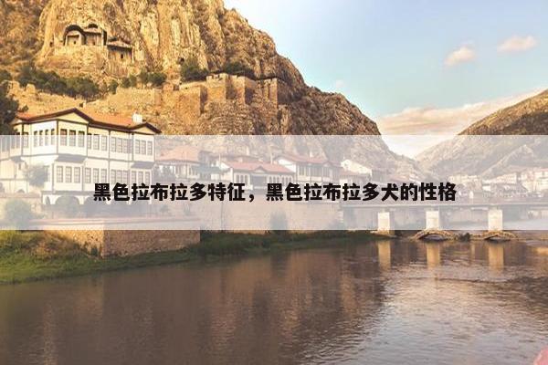 黑色拉布拉多特征，黑色拉布拉多犬的性格