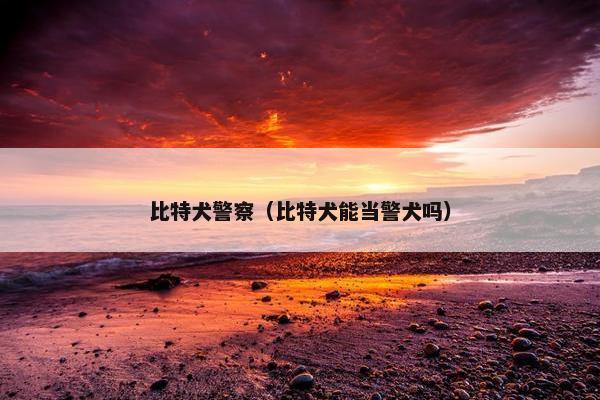 比特犬警察（比特犬能当警犬吗）