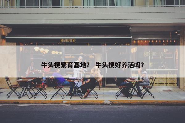 血统 第5页
