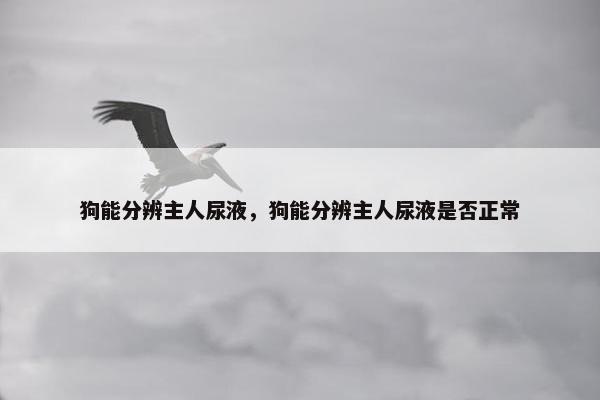 狗能 第4页
