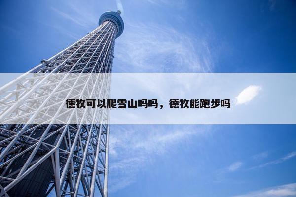 德牧可以爬雪山吗吗，德牧能跑步吗