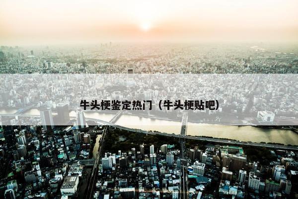 牛头梗鉴定热门（牛头梗贴吧）