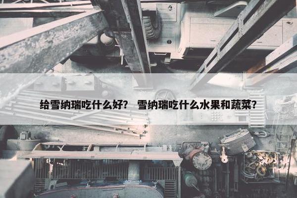 给雪纳瑞吃什么好？ 雪纳瑞吃什么水果和蔬菜？