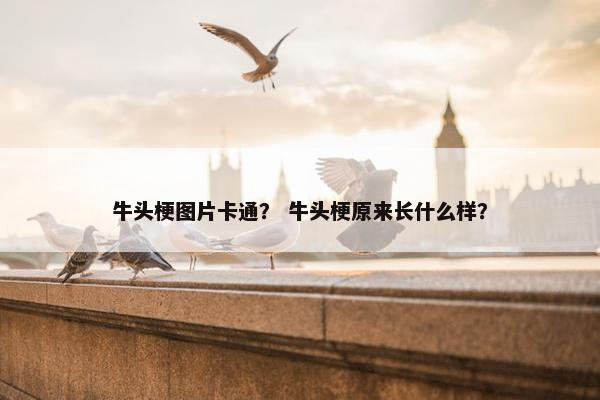 牛头梗图片卡通？ 牛头梗原来长什么样？