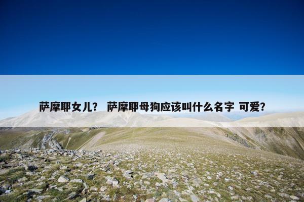 萨摩耶女儿? 萨摩耶母狗应该叫什么名字 可爱?